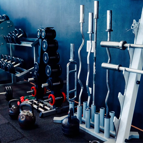 Gymnasium/Fitness Equipment